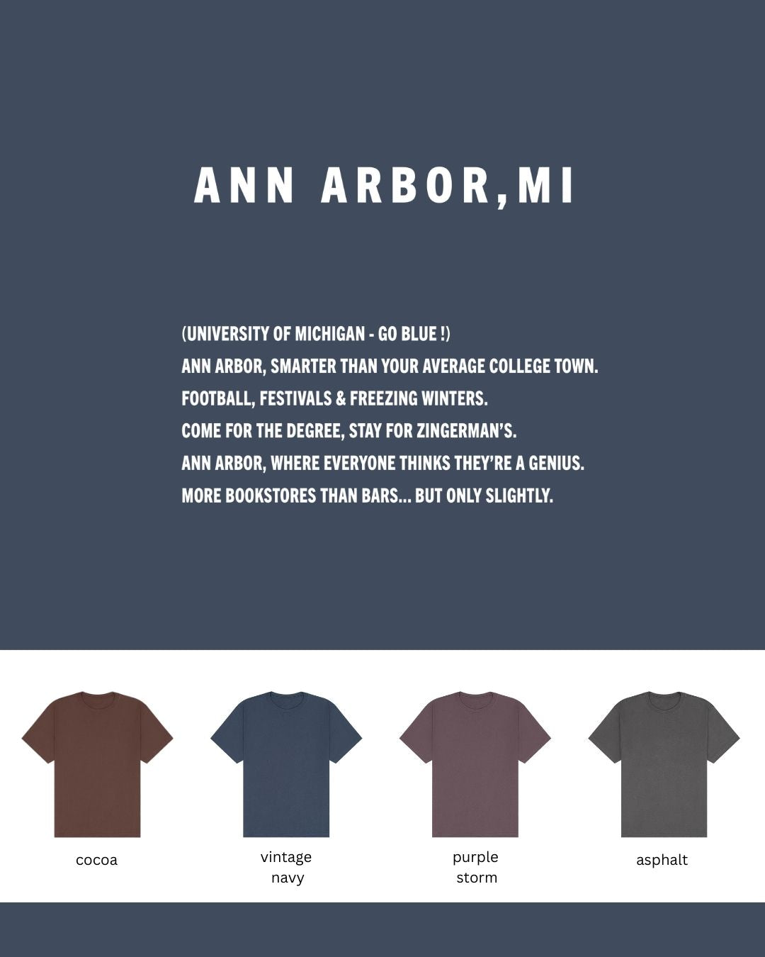 Ann Arbor, MI Oversized T-Shirt – Smarter Than Your Average Tee