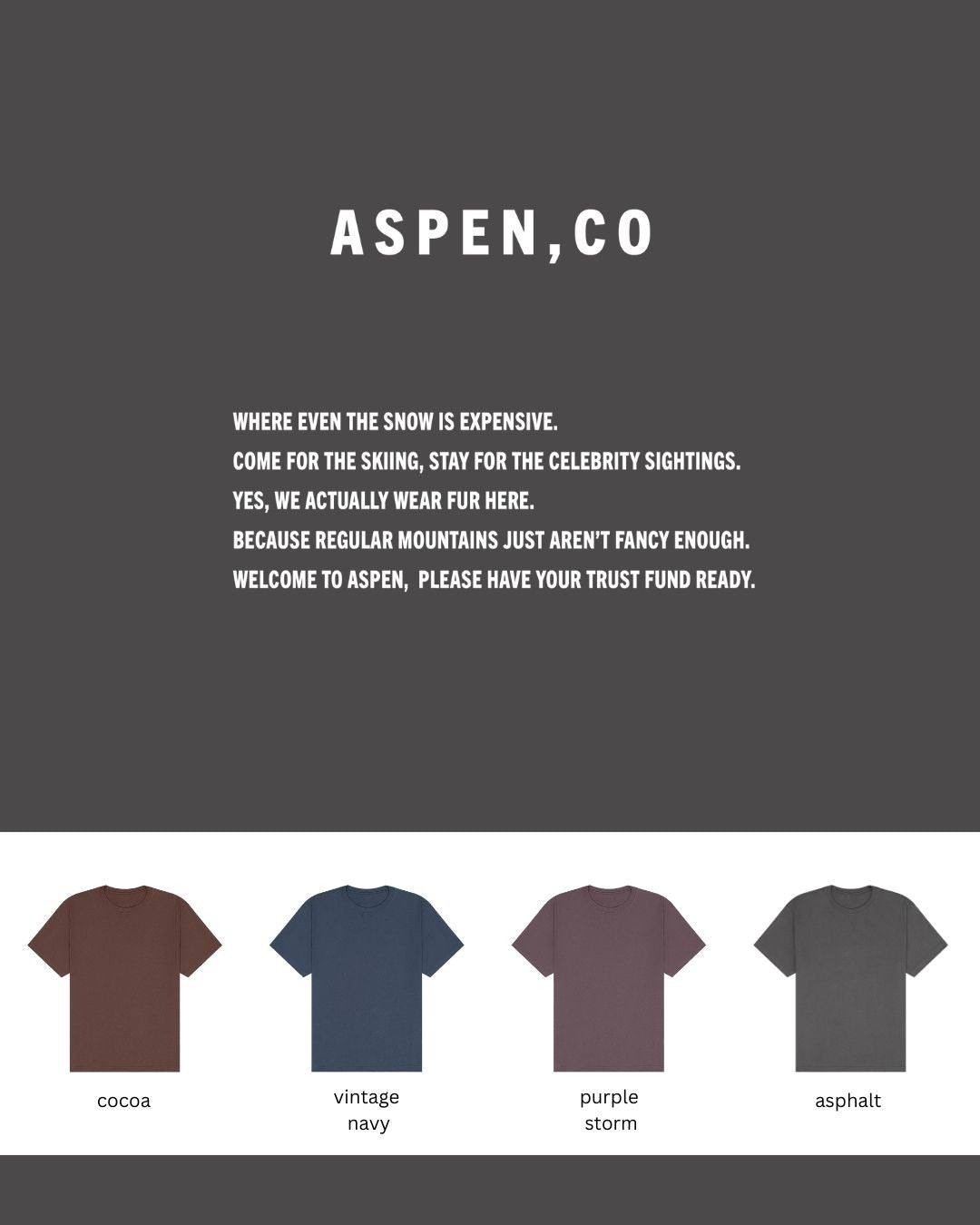 Aspen, Co. — Premium 7.5 oz Airlume Cotton Oversized T-Shirt