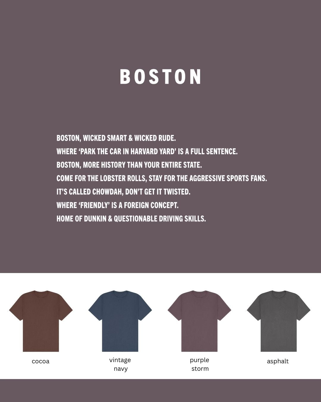Boston Oversized Heavyweight T-Shirt – Wicked Smart City Tee