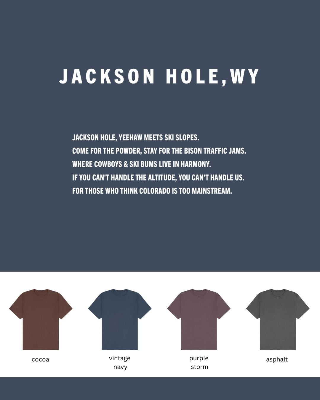 Jackson Hole Oversized Heavyweight T-Shirt – Altitude Cowboy Core Tee