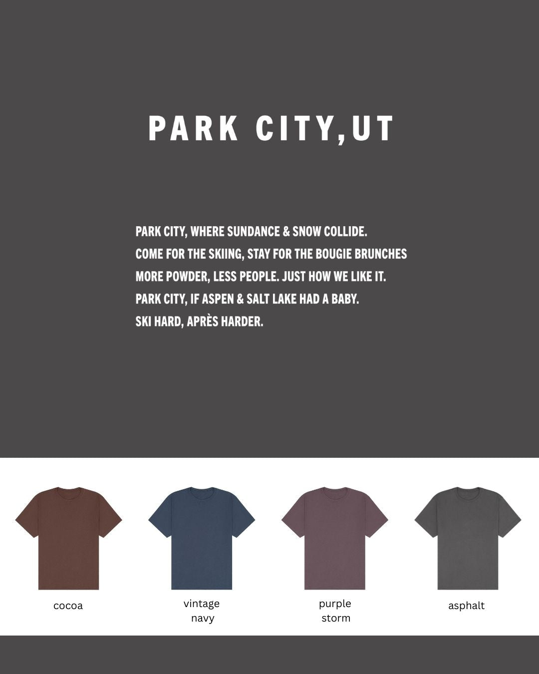Park City Oversized Heavyweight T-Shirt – Bougie Powder & Après Sass