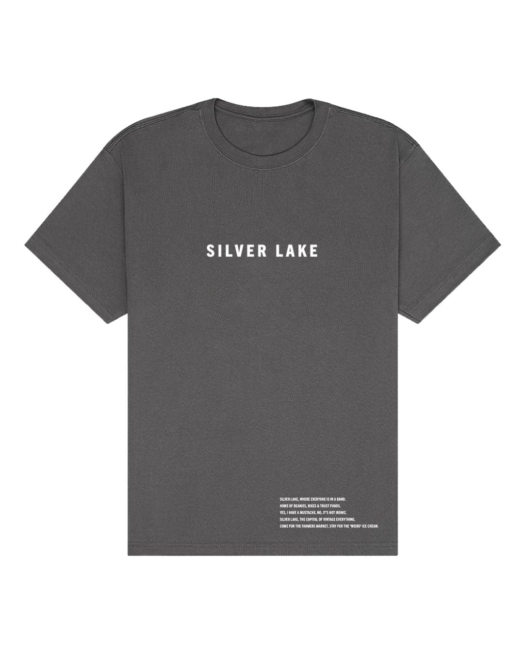 Silver Lake Oversized Heavyweight T-Shirt – Ironic Mustaches & Indie Vibes