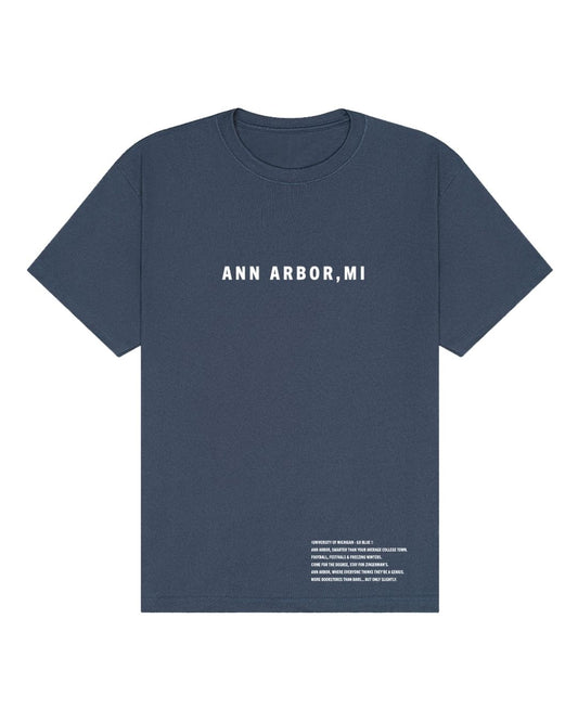 Ann Arbor, MI Oversized T-Shirt – Smarter Than Your Average Tee